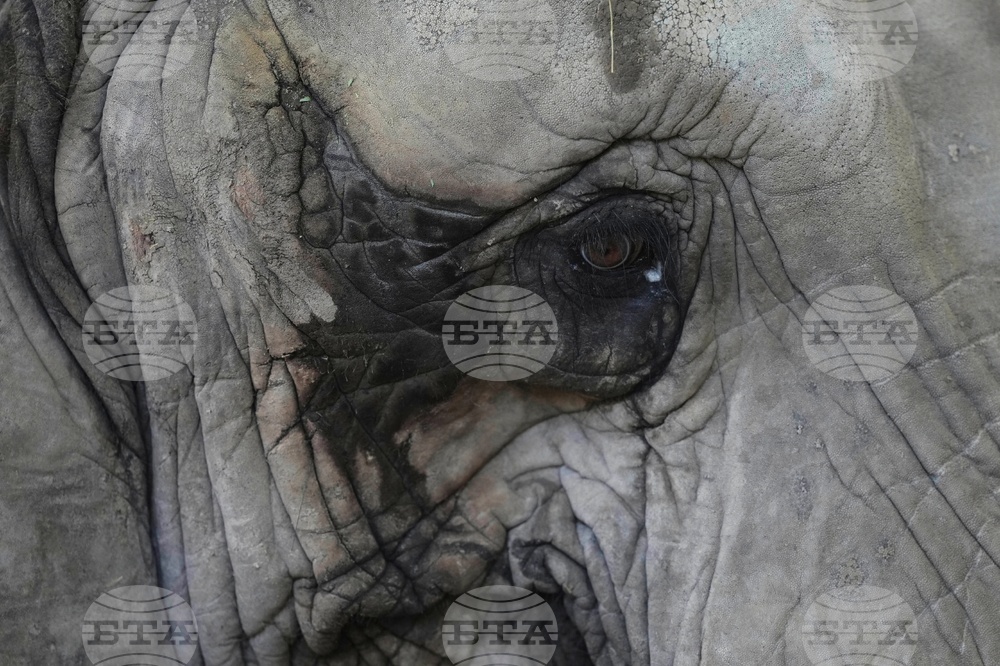 YE Nature-Animals 2025 Photo Gallery