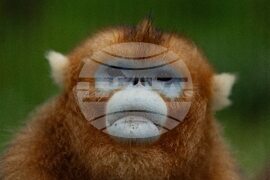 YE Nature-Animals 2025 Photo Gallery