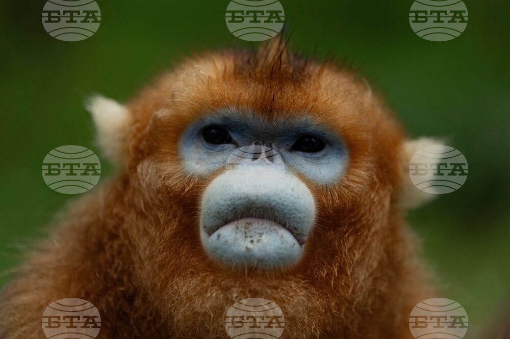 YE Nature-Animals 2025 Photo Gallery