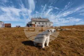 YE Nature-Animals 2025 Photo Gallery