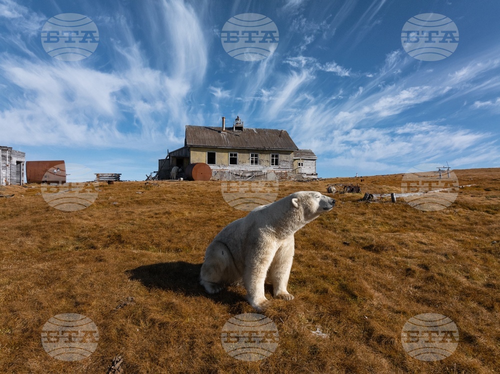 YE Nature-Animals 2025 Photo Gallery