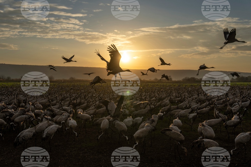 YE Nature-Animals 2025 Photo Gallery