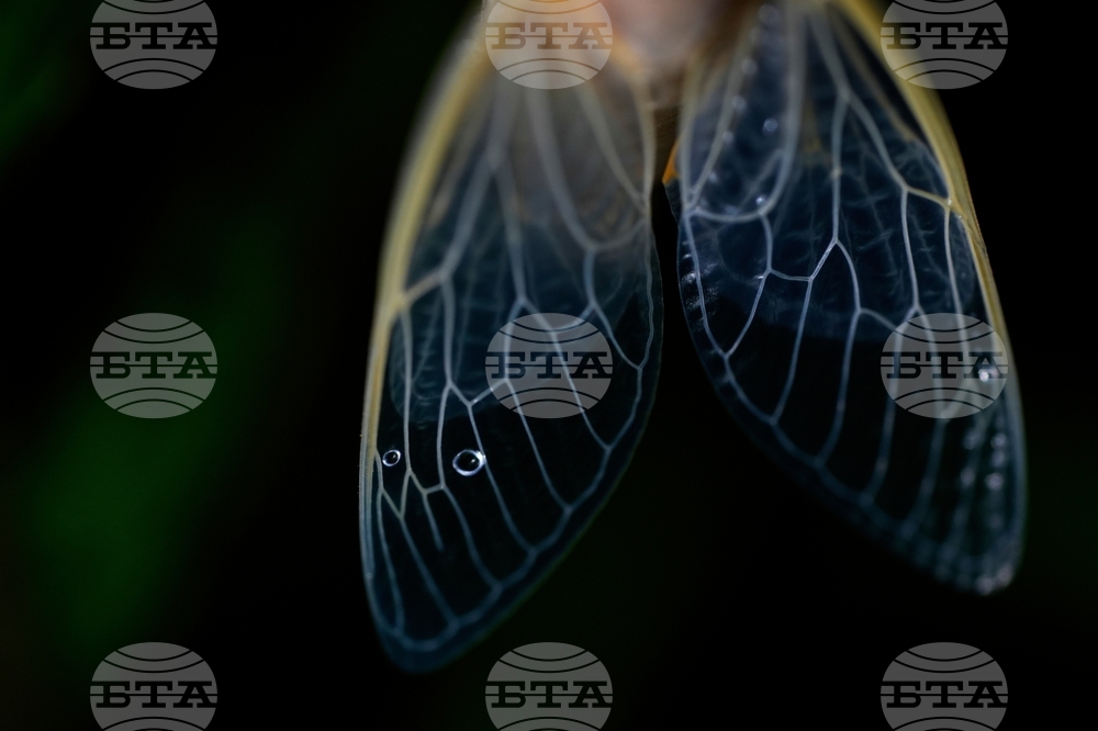 YE Nature-Animals 2025 Photo Gallery