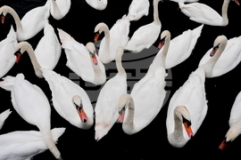 YE Nature-Animals 2025 Photo Gallery