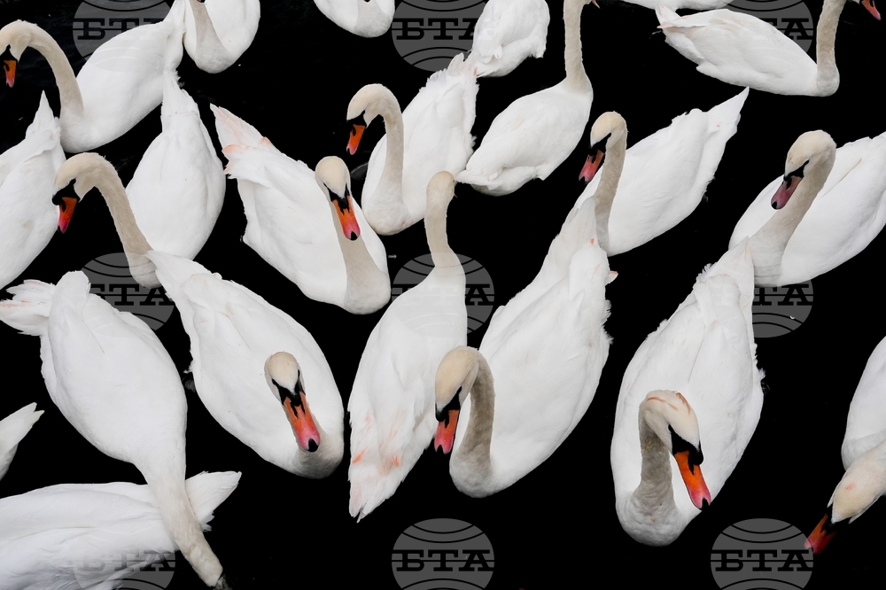 YE Nature-Animals 2025 Photo Gallery