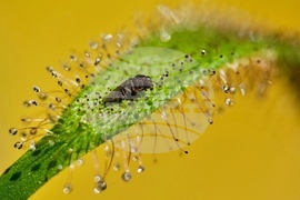 YE Nature-Animals 2025 Photo Gallery