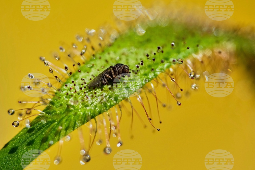 YE Nature-Animals 2025 Photo Gallery