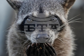 YE Nature-Animals 2025 Photo Gallery