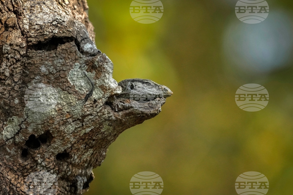 YE Nature-Animals 2025 Photo Gallery