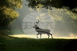 YE Nature-Animals 2025 Photo Gallery