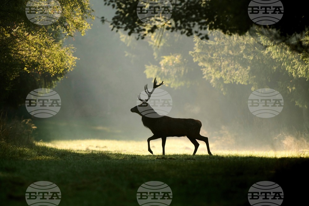 YE Nature-Animals 2025 Photo Gallery