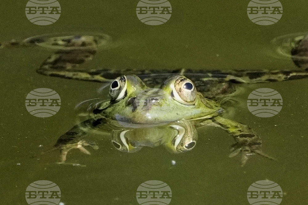 YE Nature-Animals 2025 Photo Gallery