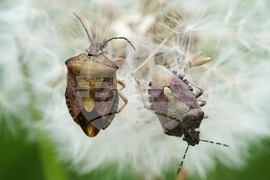 YE Nature-Animals 2025 Photo Gallery