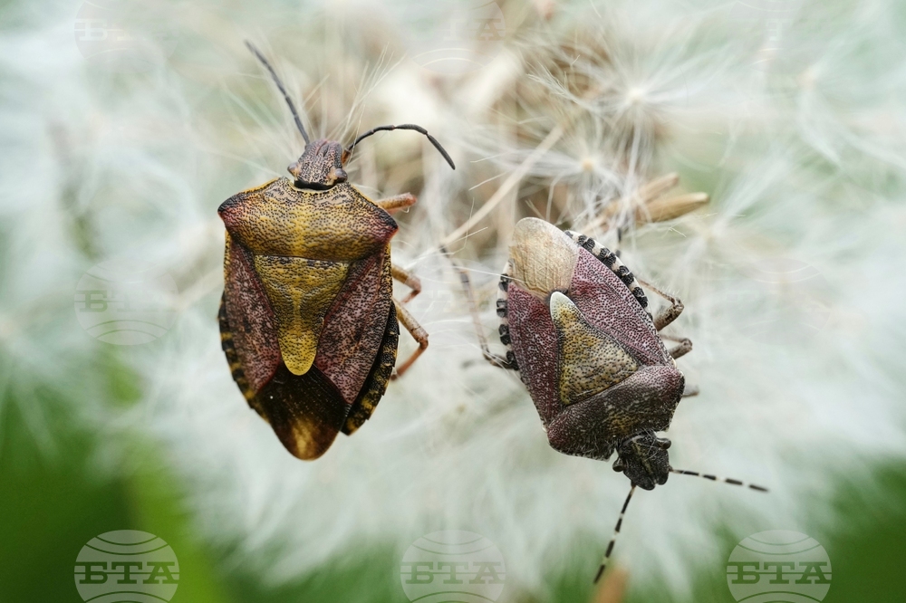 YE Nature-Animals 2025 Photo Gallery