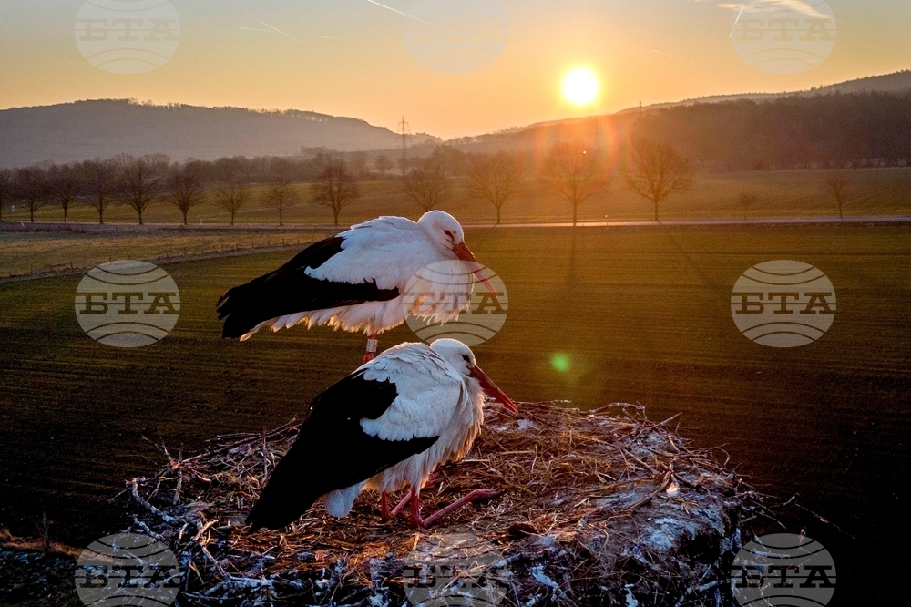 YE Nature-Animals 2025 Photo Gallery