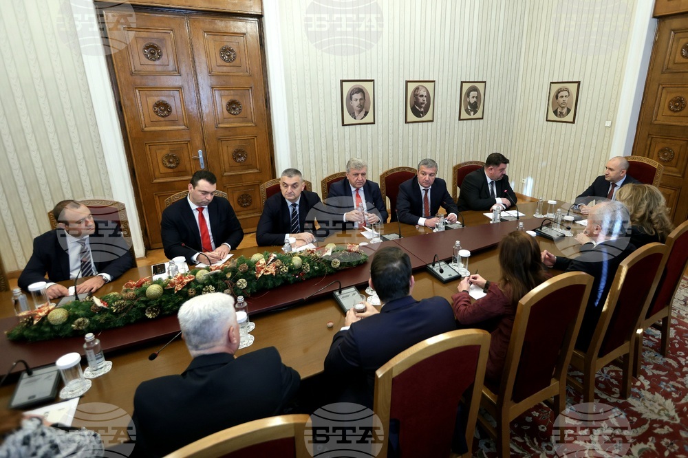 President Radev Probes BSP - United Left on New Coalition or Early Elections as Cabinet-Forming Consultations Continue