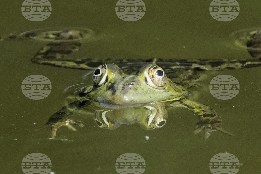 YE Nature-Animals 2025 Photo Gallery