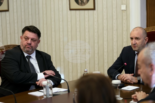 We Are Satisfied with Our Role in Government at the State Level, but Not at the Party Level, BSP Leader Zafirov Tells President