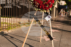 Top Vertical Photos Photo Gallery