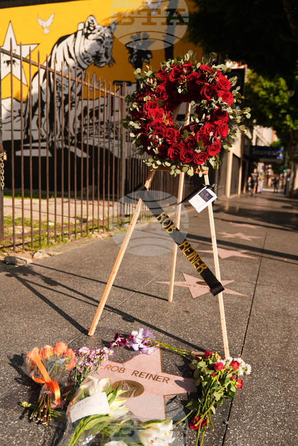 Top Vertical Photos Photo Gallery