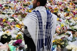 Top Vertical Photos Photo Gallery