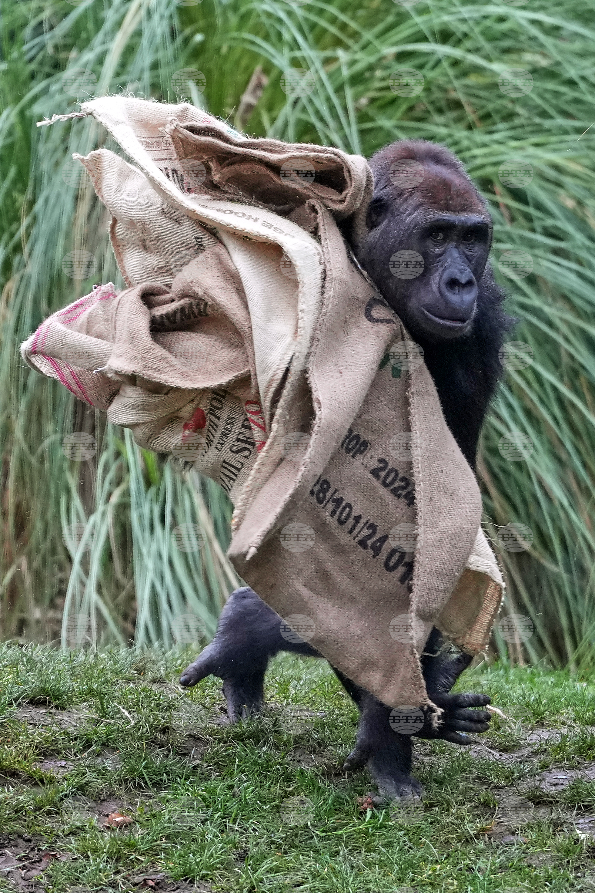 Top Vertical Photos Photo Gallery