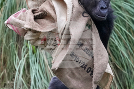 Top Vertical Photos Photo Gallery