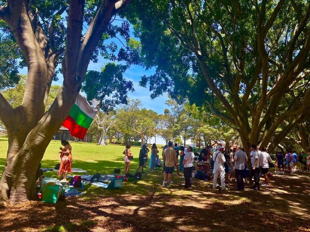 С пикник българската общност в Сидни отбеляза настъпващите коледни и новогодишни празници 