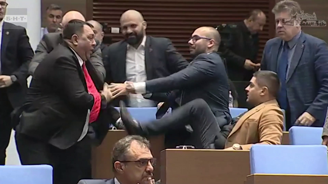 Kicks and Blows in Parliament's Plenary Hall