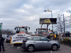 Страсбург - протест - земеделци