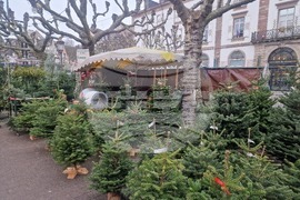 Франция - Страсбург - коледни базари