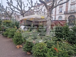 Франция - Страсбург - коледни базари