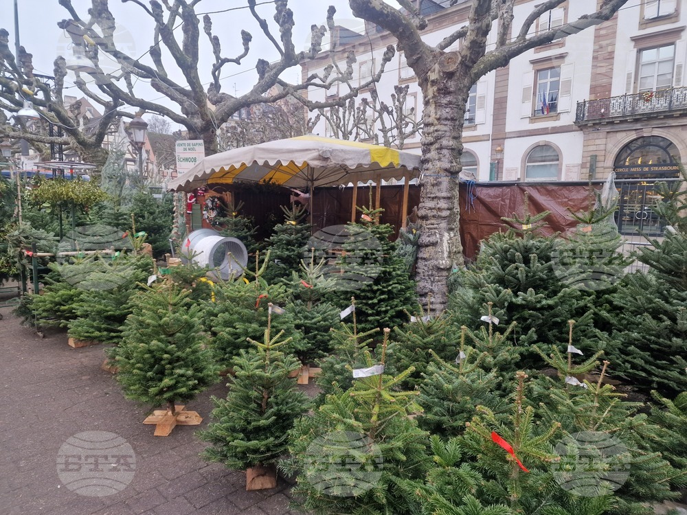 Франция - Страсбург - коледни базари