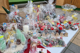 Плевен - благоторителен базар - социален център