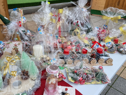 Плевен - благоторителен базар - социален център