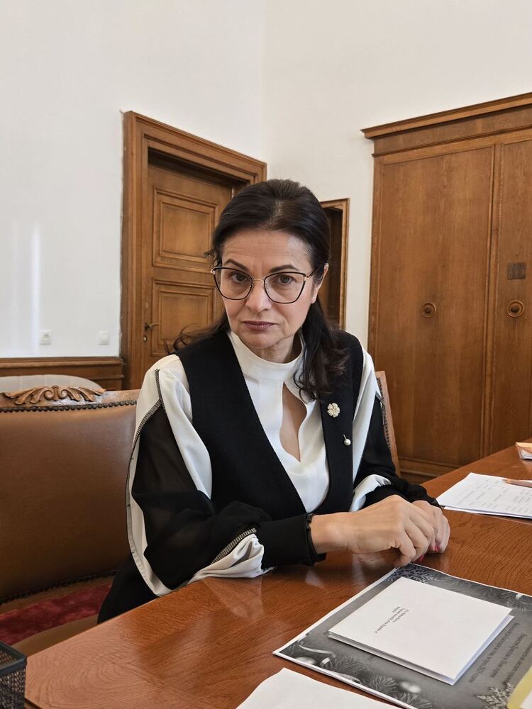 Росица Кирова: Границата, зад която започва човешкото достойнство, е безцеремонно премината, държавата трябва да отговори с цялата сила на закона