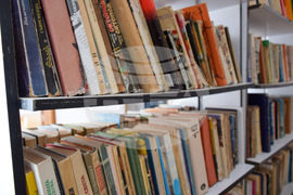 Село Полето - изглед