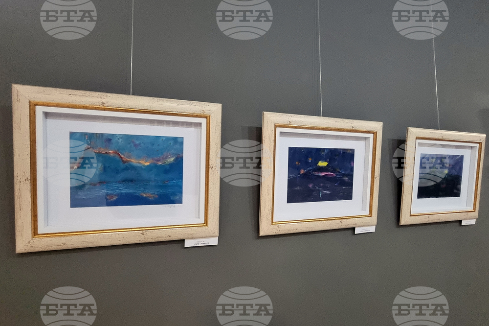 Стара Загора - коледна изложба