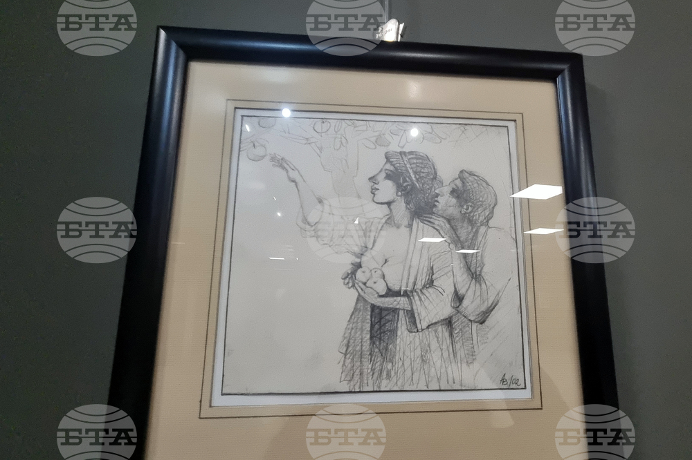 Стара Загора - коледна изложба