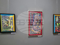 Стара Загора - коледна изложба