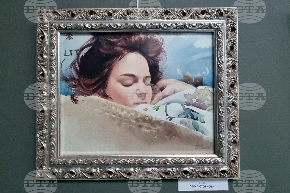 Стара Загора - коледна изложба