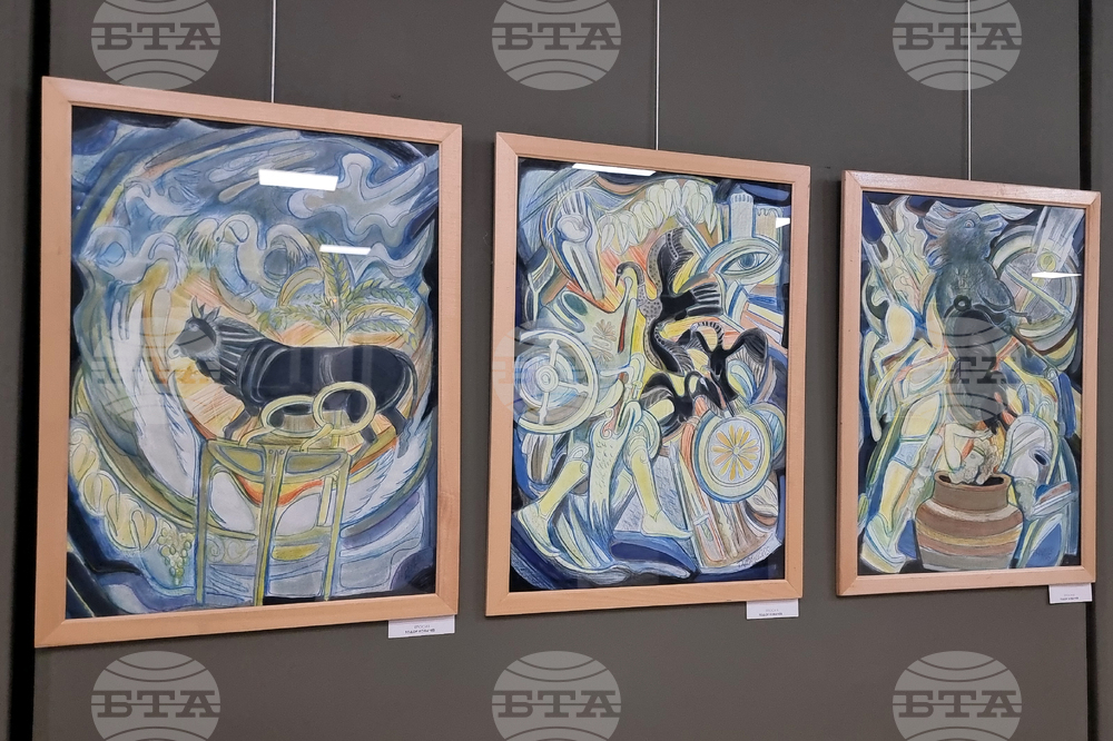 Стара Загора - коледна изложба