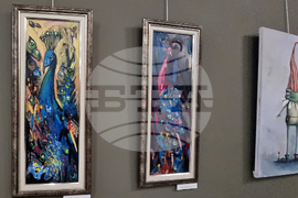 Стара Загора - коледна изложба