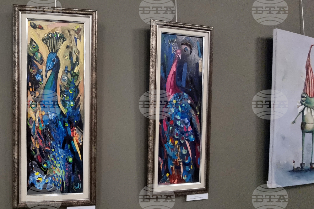 Стара Загора - коледна изложба