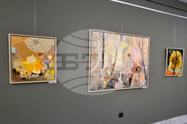 Стара Загора - коледна изложба