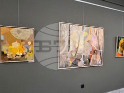 Стара Загора - коледна изложба