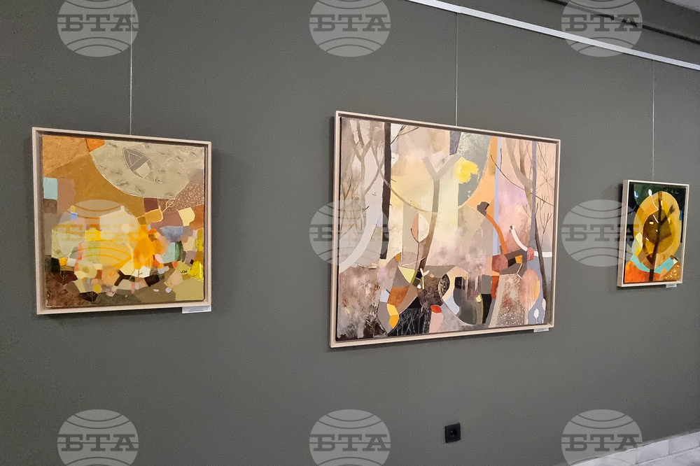 Стара Загора - коледна изложба