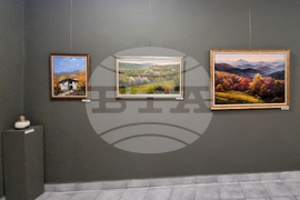 Стара Загора - коледна изложба