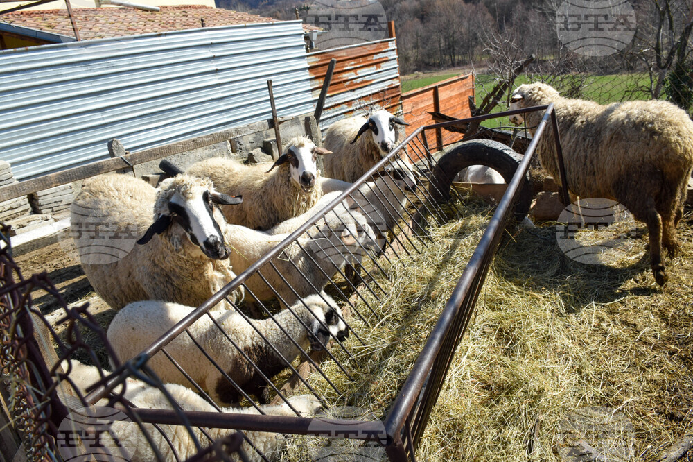 Село Полето - изглед