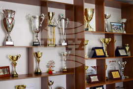 Село Полето - изглед